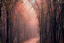 中乙首轮梅开二度!泰山B队王昊斌:本赛季目标多进球.