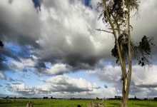 虎扑体育：[德甲]拜仁小胜科隆 暂时登顶积分榜.