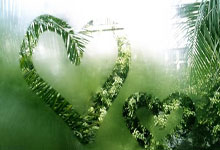 赵继伟12+12莫兰德30+25 辽宁胜东阳光药5连胜收官.